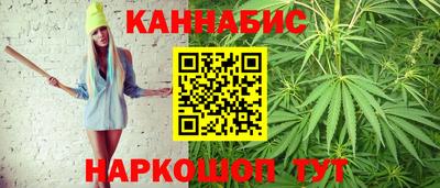 спиды Новодвинск