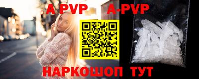 a pvp Новозыбков