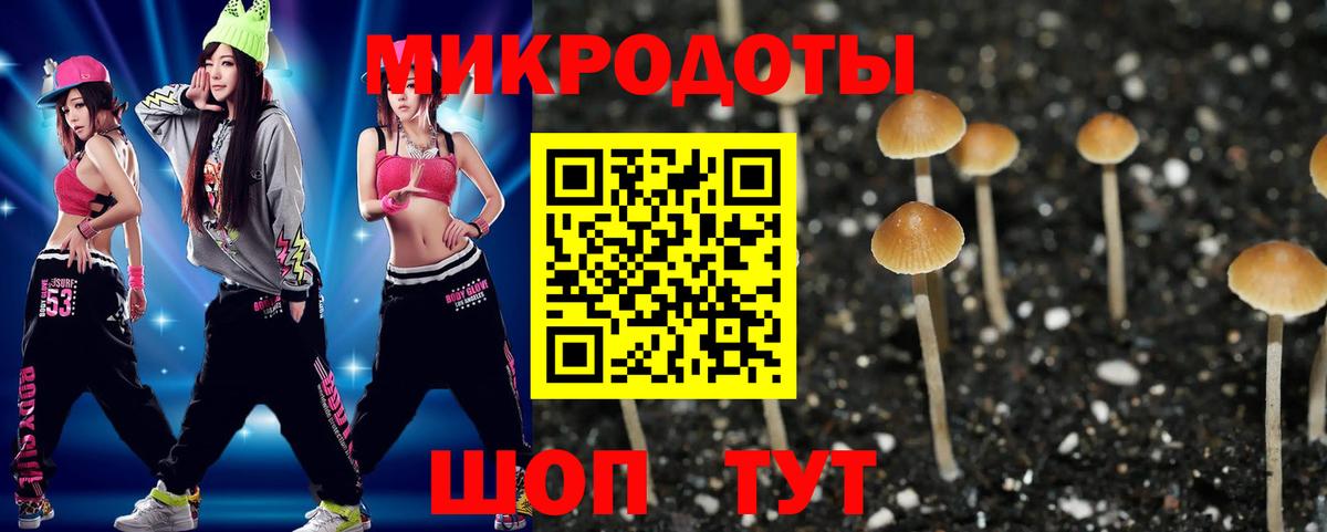 Сосновоборск  Псилоцибиновые грибы мицелий  Вход с VPN 